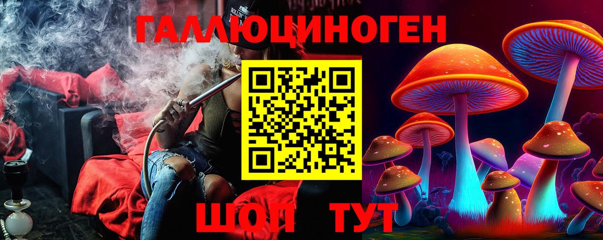 Кулебаки  Псилоцибиновые грибы Cubensis  Вход с VPN  Галлюциногенные грибы Cubensis 